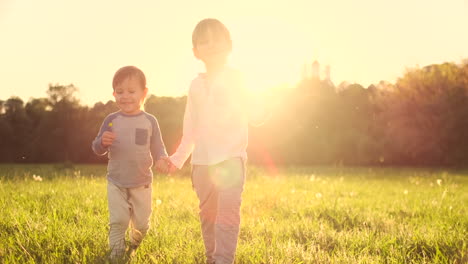 Two-brothers-walk-on-the-field-in-the-summer-at-sunset-holding-hands-happy-and-cheerful.